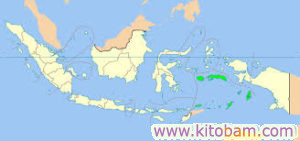 molukka-jazira