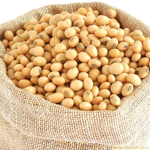 beans-soya