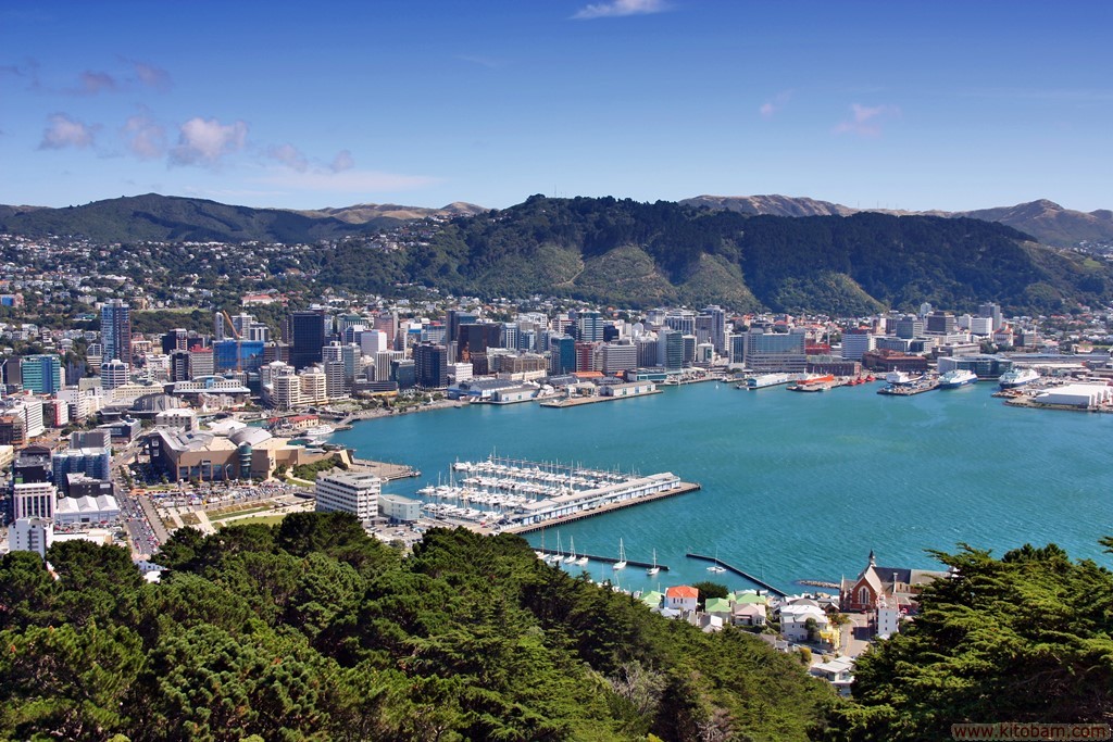 wellington