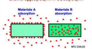 absorbciya