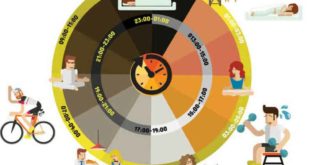 chronobiology