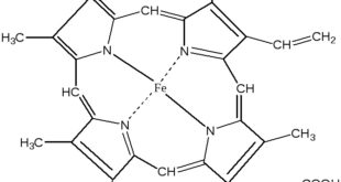 xromoproteidho