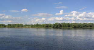 pripyat-river