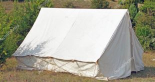 white tent set in the summer forest